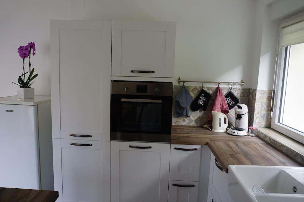 Apartament Le Bord De Sarre Meuble 3 Etoiles Sarreguemines Zewnętrze zdjęcie